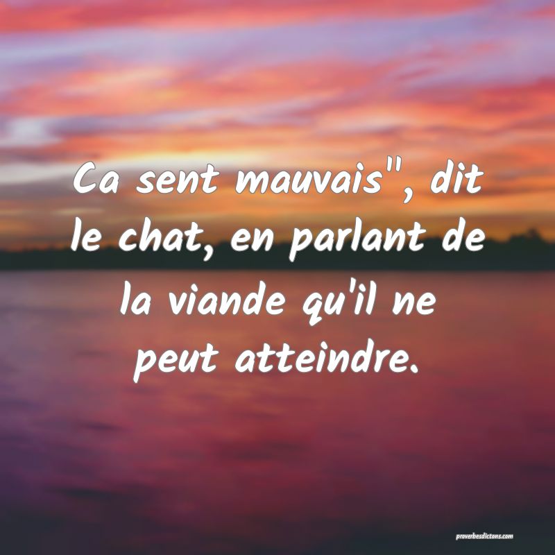 Ca sent mauvais