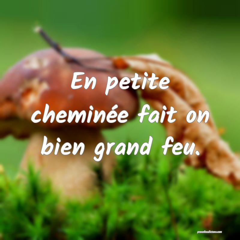 En petite cheminée fait on bien grand feu.