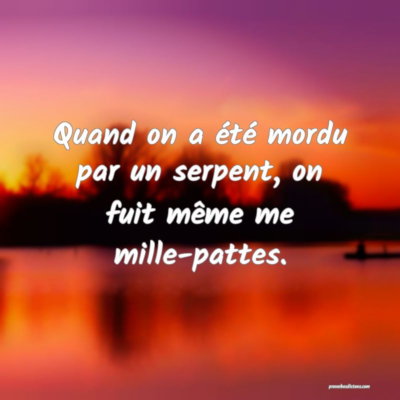 Quand on a été mordu par un serpent, on fuit même me mille-pattes.