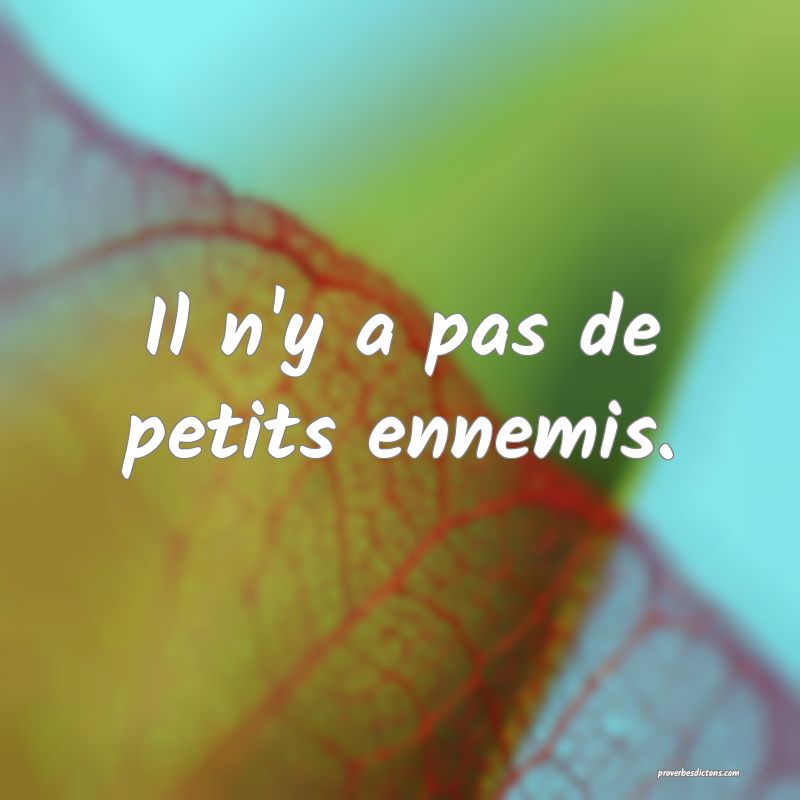 Il n'y a pas de petits ennemis.