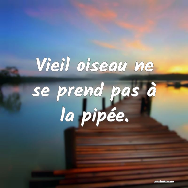 Vieil oiseau ne se prend pas à la pipée.