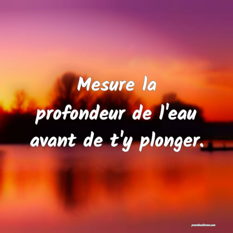 Mesure la profondeur de l'eau avant de t'y plonger.