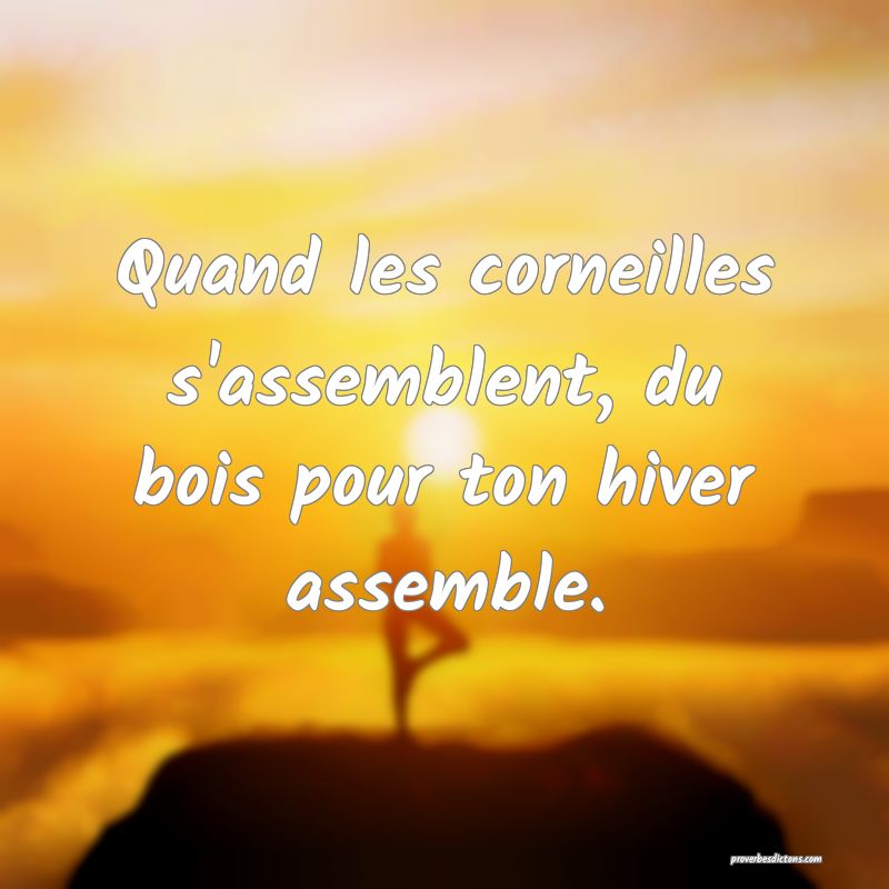 Quand les corneilles s'assemblent, du bois pour ton hiver assemble.