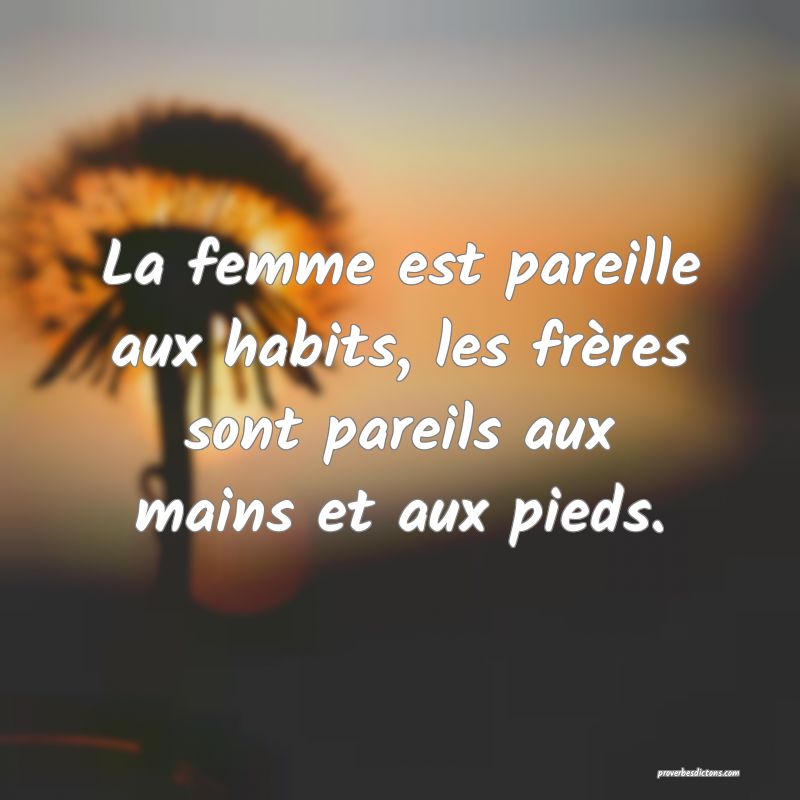 La femme est pareille aux habits, les frères sont pareils aux mains et aux pieds.