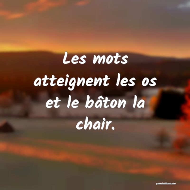 Les mots atteignent les os et le bâton la chair.
