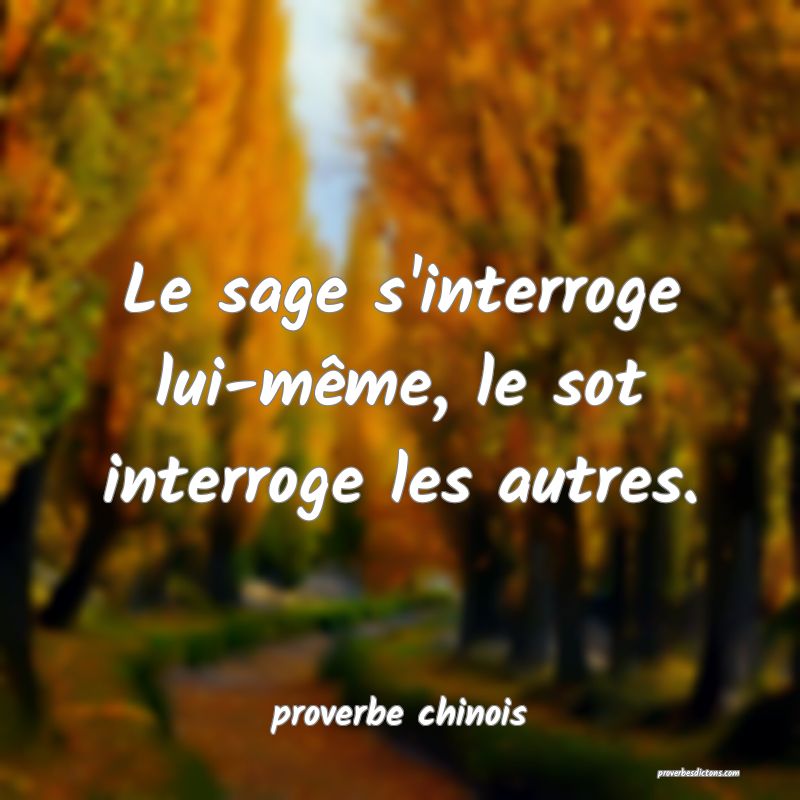 Le sage s'interroge lui-même, le sot interroge les autres.