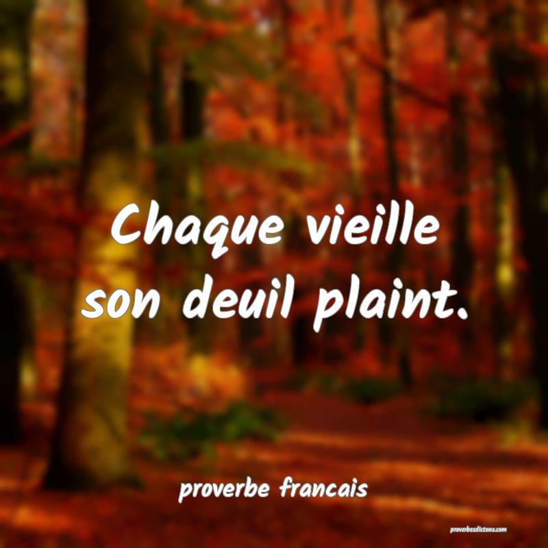 Chaque vieille son deuil plaint.