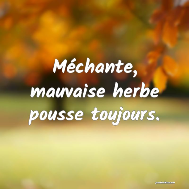 Méchante, mauvaise herbe pousse toujours.