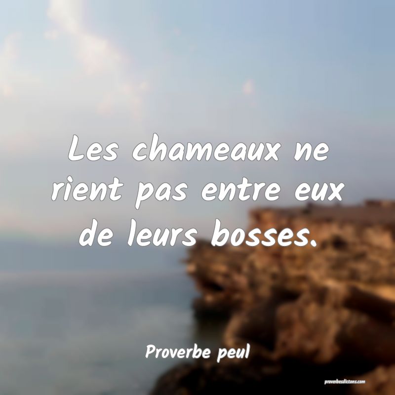 Les chameaux ne rient pas entre eux de leurs bosses.