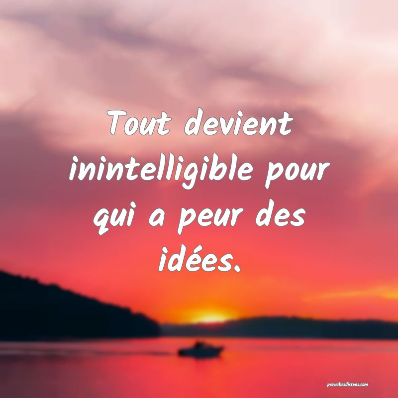 Tout devient inintelligible pour qui a peur des idées.