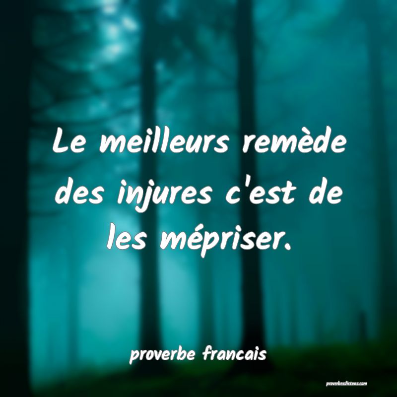 Le meilleurs remède des injures c'est de les mépriser.