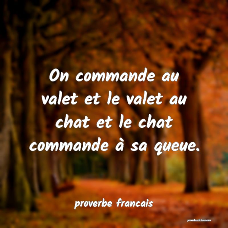On commande au valet et le valet au chat et le chat commande à sa queue.