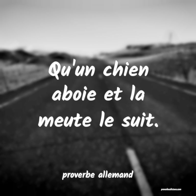 Qu'un chien aboie et la meute le suit.