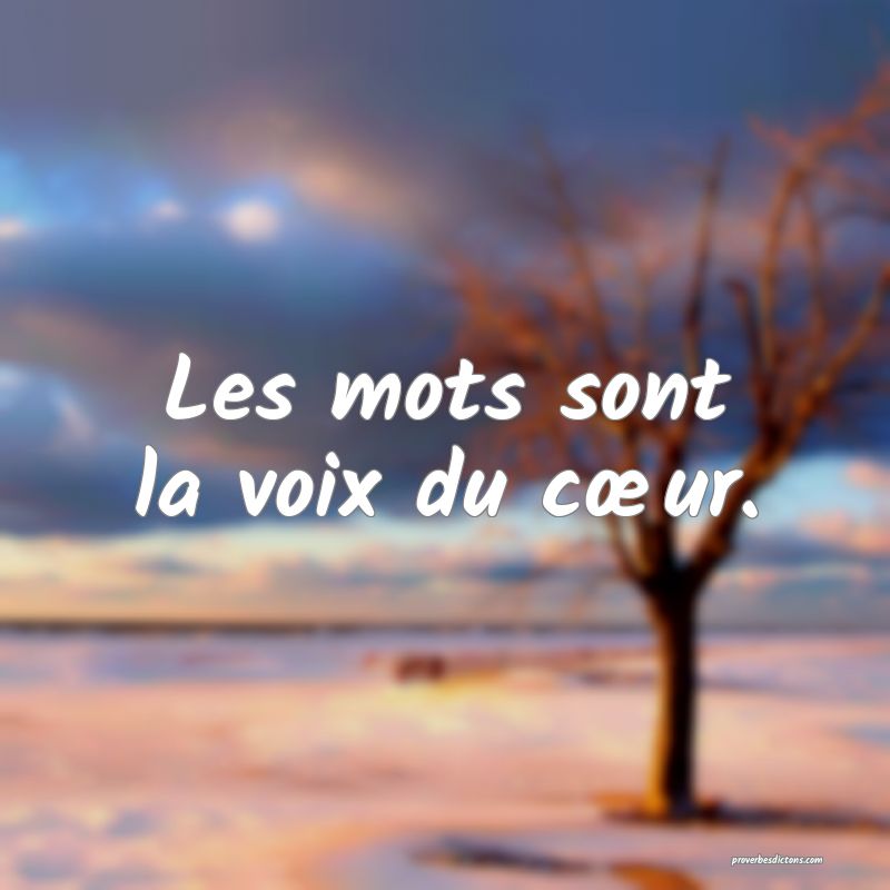 Les mots sont la voix du cœur.