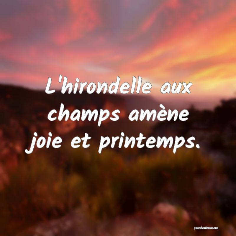 L'hirondelle aux champs amène joie et printemps.