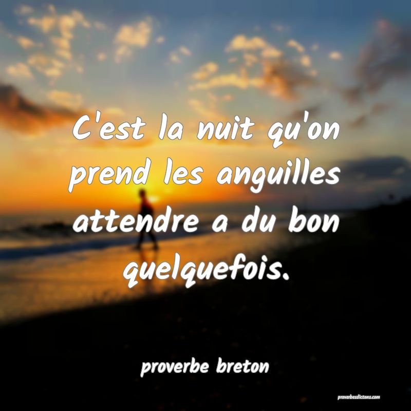  C'est la nuit qu'on prend les anguilles attendre a du bon quelquefois.