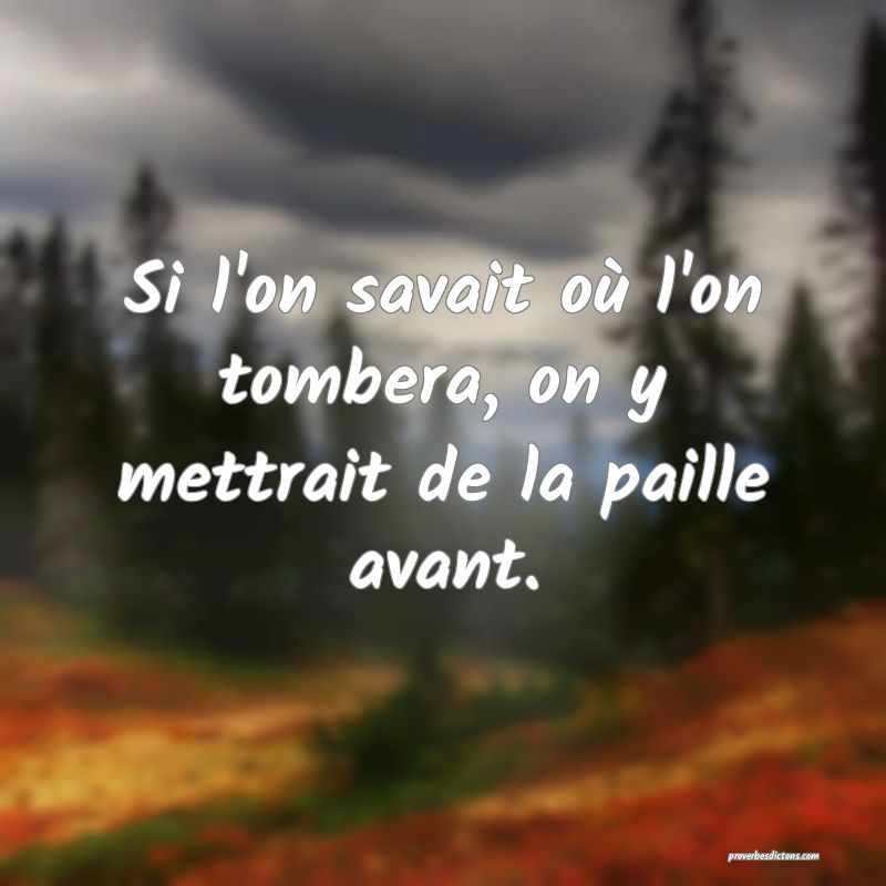 Si l'on savait où l'on tombera, on y mettrait de la paille avant.