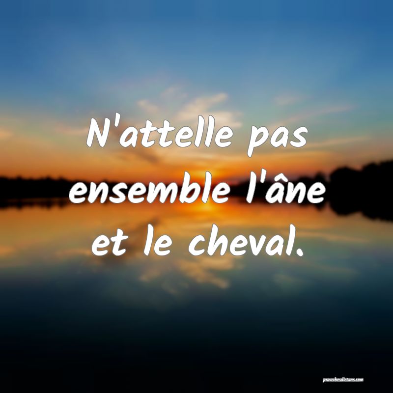 N'attelle pas ensemble l'âne et le cheval.