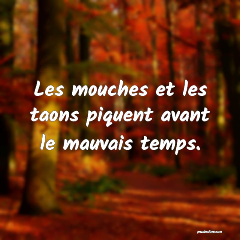 Les mouches et les taons piquent avant le mauvais temps.