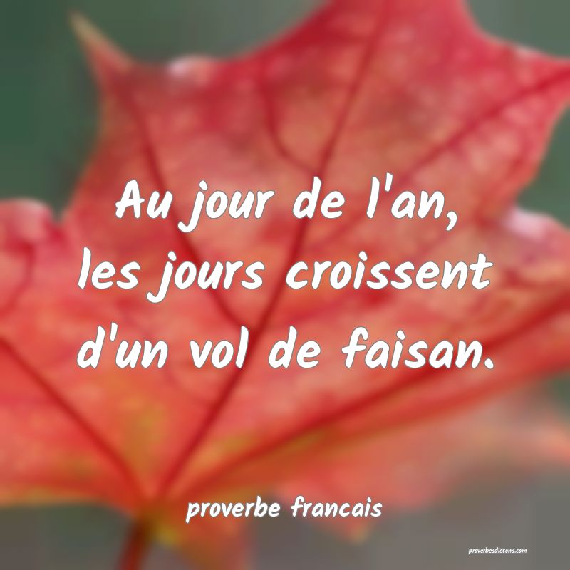 Au jour de l'an, les jours croissent d'un vol de faisan.