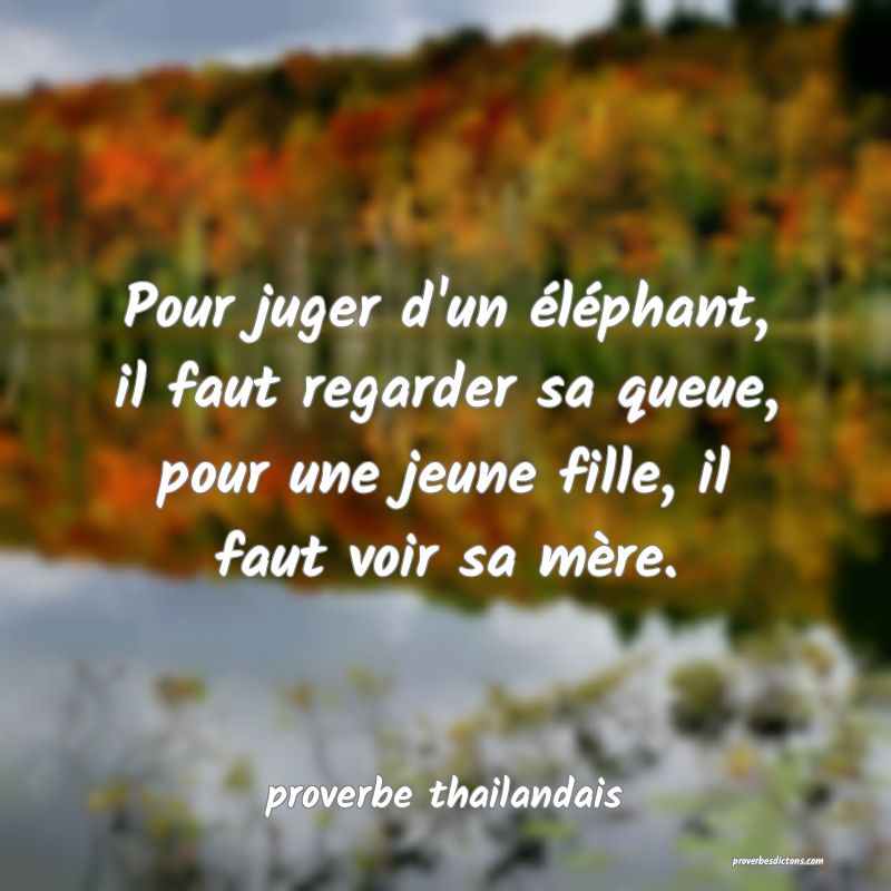 Pour juger d'un éléphant, il faut regarder sa queue, pour une jeune fille, il faut voir sa mère.