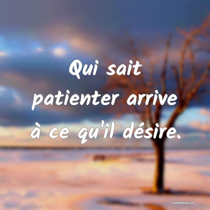 Qui sait patienter arrive à ce qu'il désire.