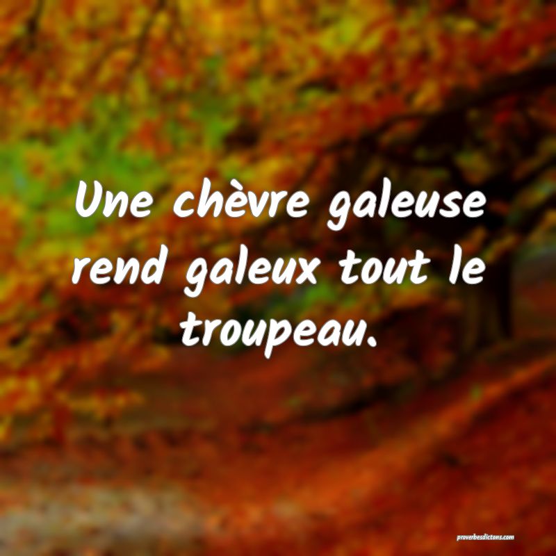 Une chèvre galeuse rend galeux tout le troupeau.