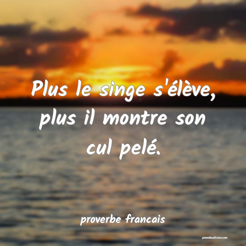 Plus le singe s'élève, plus il montre son cul pelé.