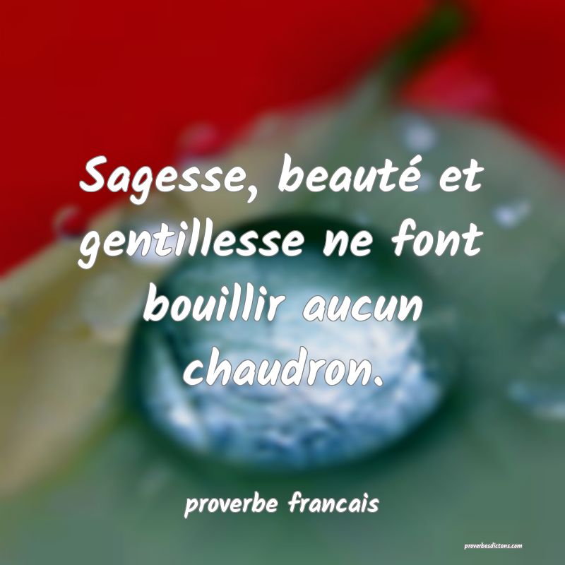 Sagesse, beauté et gentillesse ne font bouillir aucun chaudron.