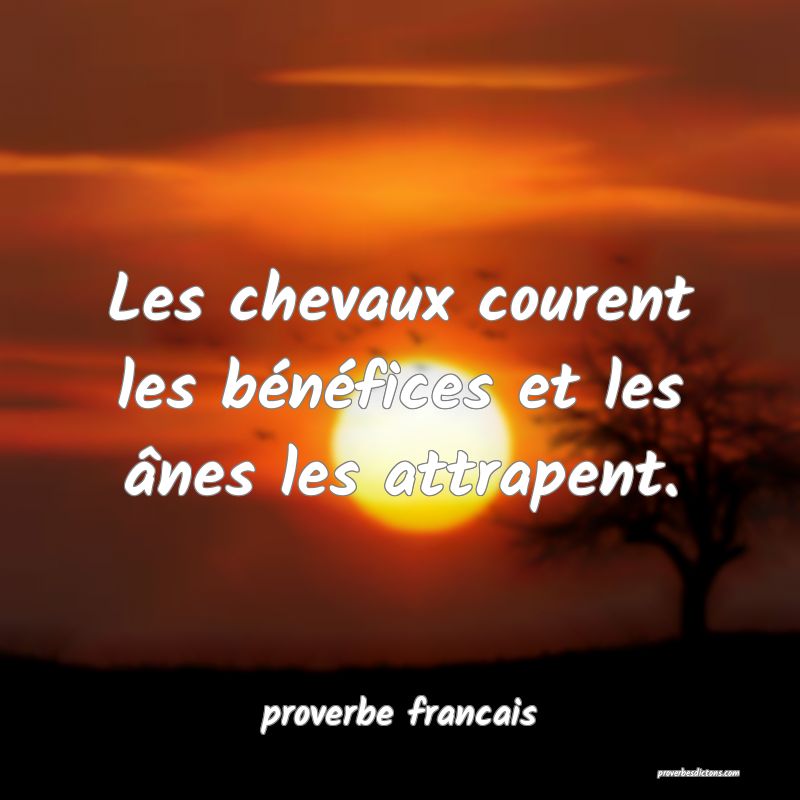 Les chevaux courent les bénéfices et les ânes les attrapent.