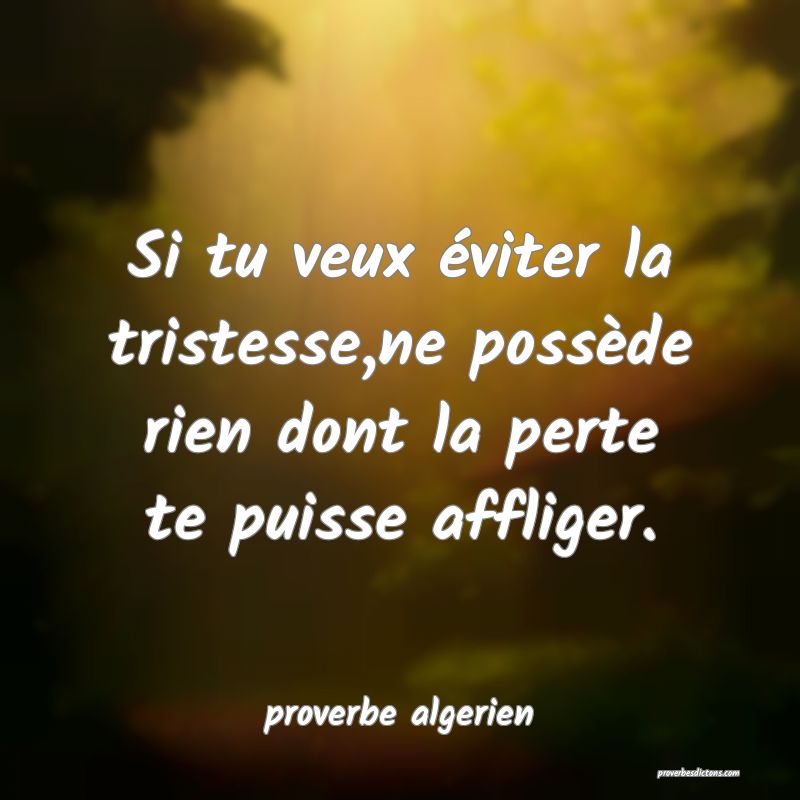 Si tu veux éviter la tristesse,ne possède rien dont la perte te puisse affliger.
