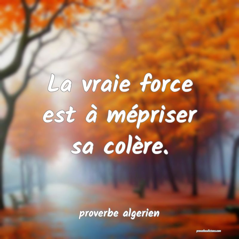 La vraie force est à mépriser sa colère.