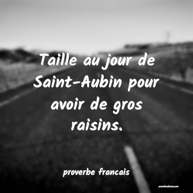 Taille au jour de Saint-Aubin pour avoir de gros raisins.