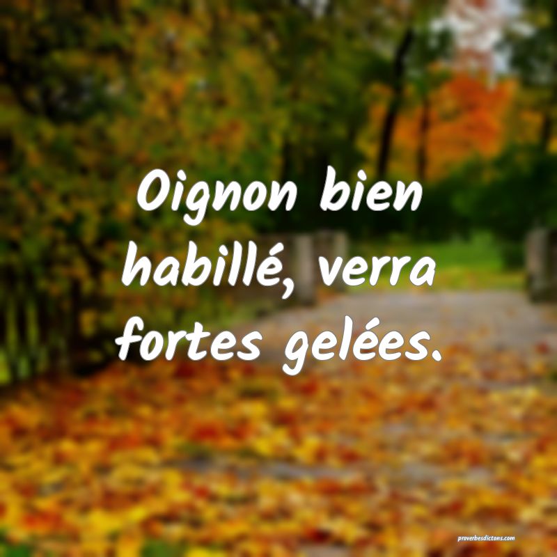 Oignon bien habillé, verra fortes gelées.