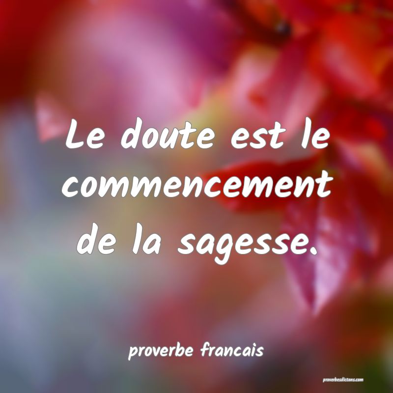 Le doute est le commencement de la sagesse.