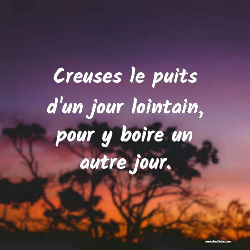 Creuses le puits d'un jour lointain, pour y boire un autre jour.