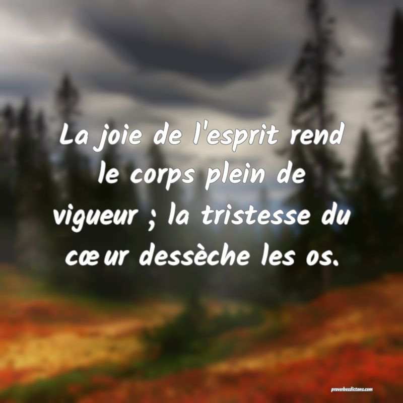La joie de l'esprit rend le corps plein de vigueur ; la tristesse du cœur dessèche les os.