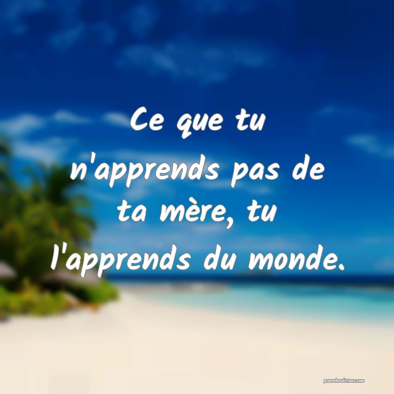 Ce que tu n'apprends pas de ta mère, tu l'apprends du monde.