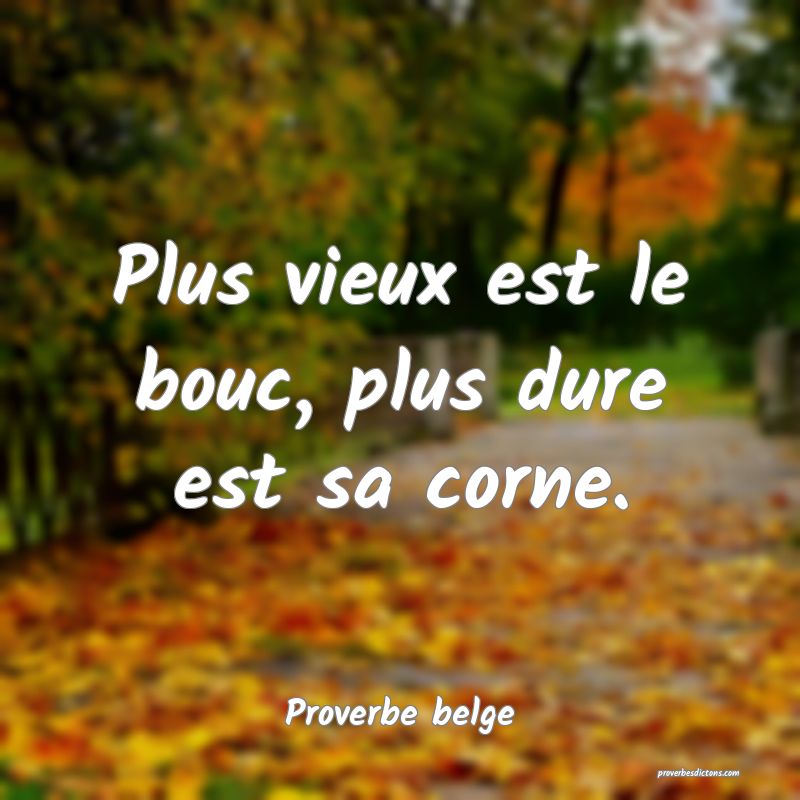  Plus vieux est le bouc, plus dure est sa corne.