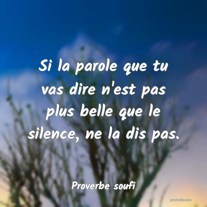 Si la parole que tu vas dire n'est pas plus belle que le silence, ne la dis pas.