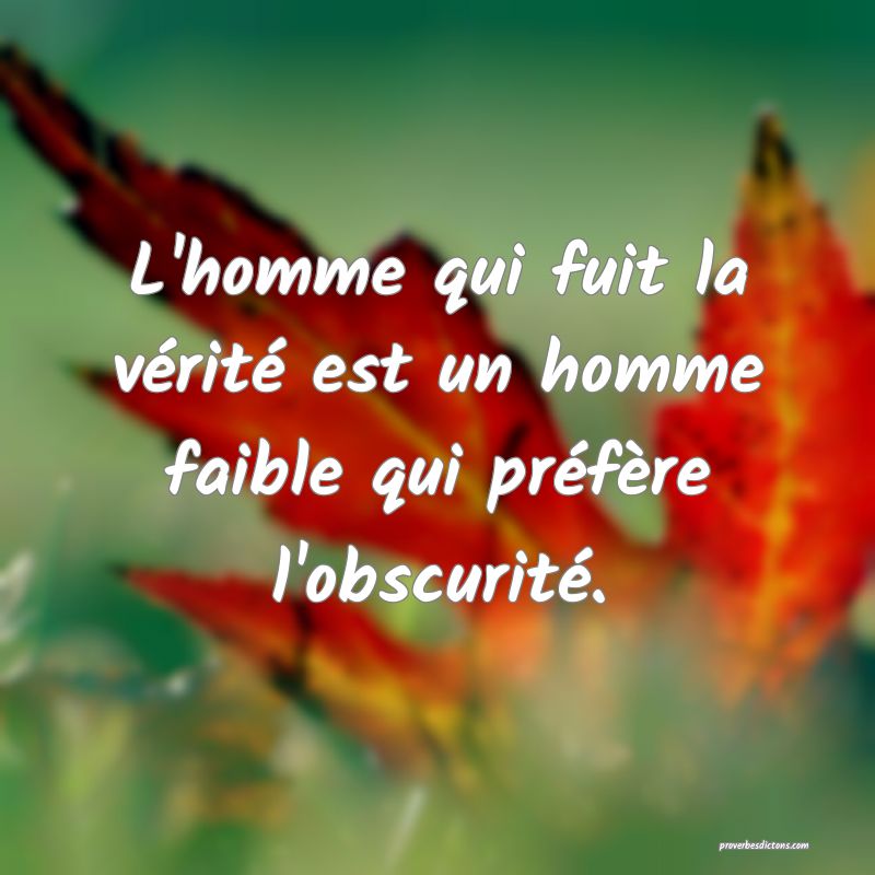L'homme qui fuit la vérité est un homme faible qui préfère l'obscurité.