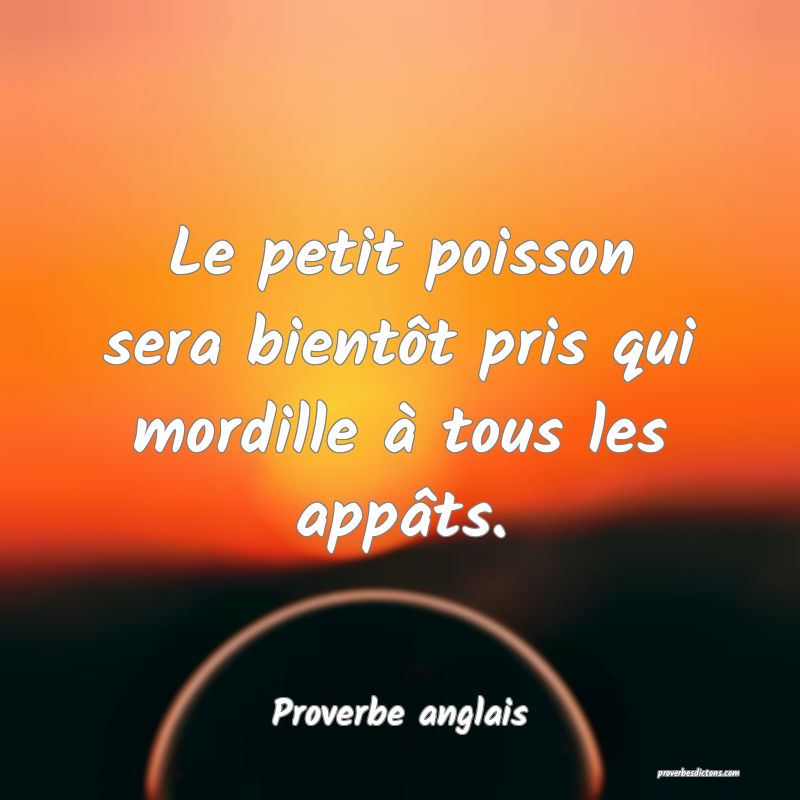 Le petit poisson sera bientôt pris qui mordille à tous les appâts.