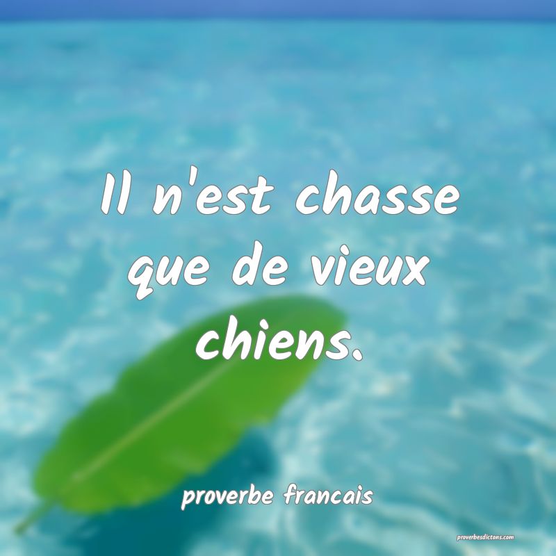 Il n'est chasse que de vieux chiens.