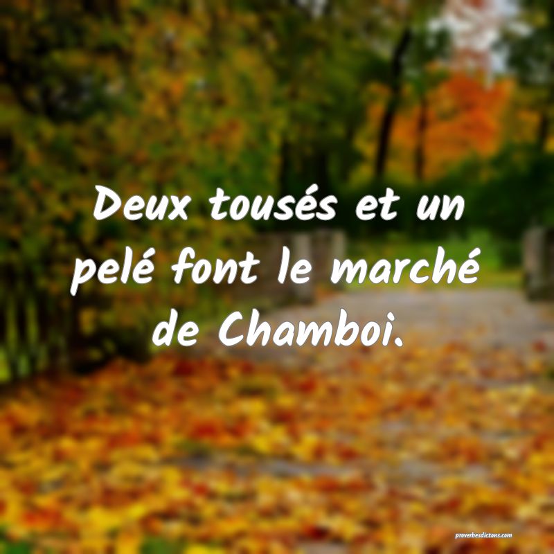 Deux tousés et un pelé font le marché de Chamboi.