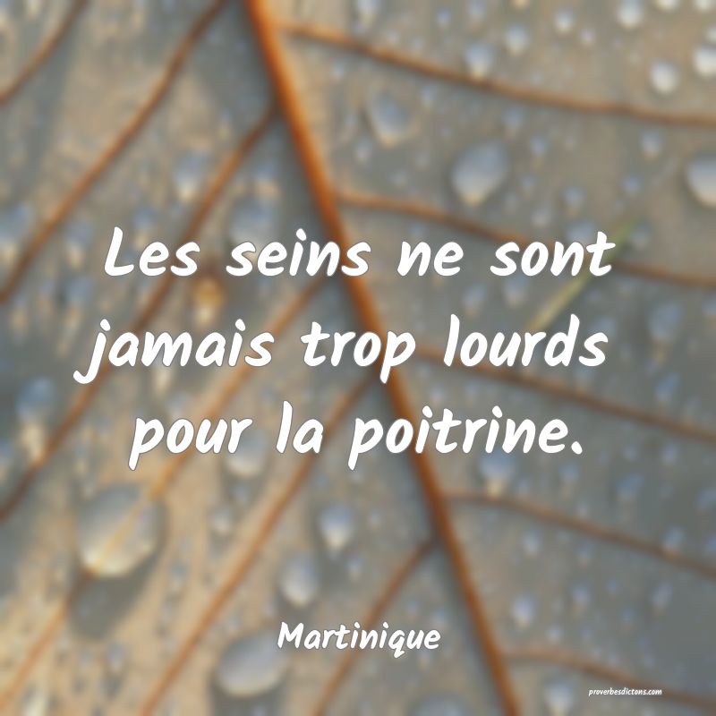 Les seins ne sont jamais trop lourds pour la poitrine.