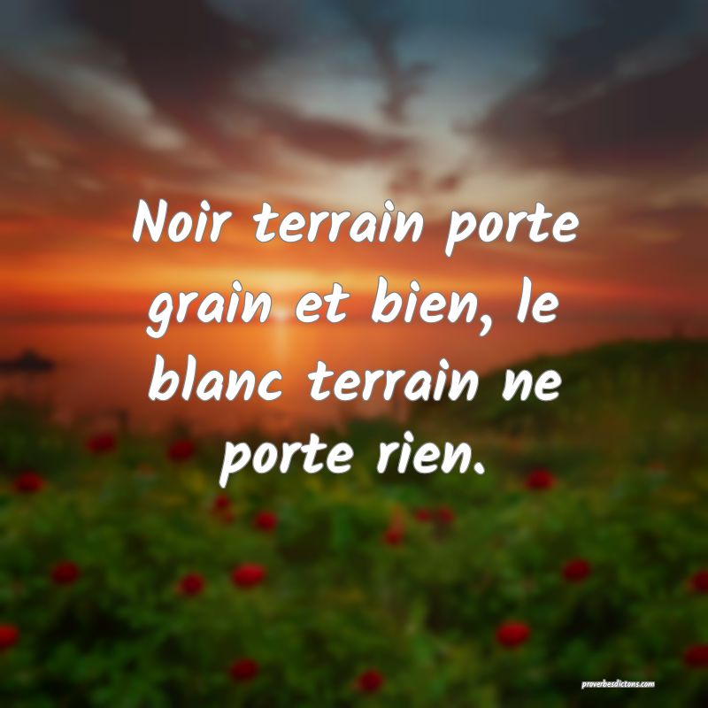 Noir terrain porte grain et bien, le blanc terrain ne porte rien.