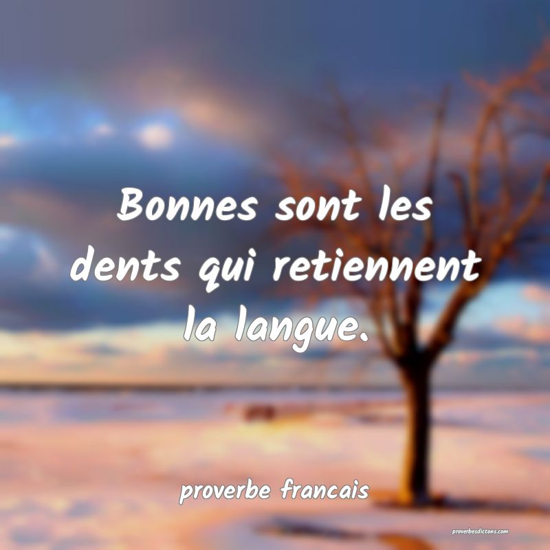 Bonnes sont les dents qui retiennent la langue.