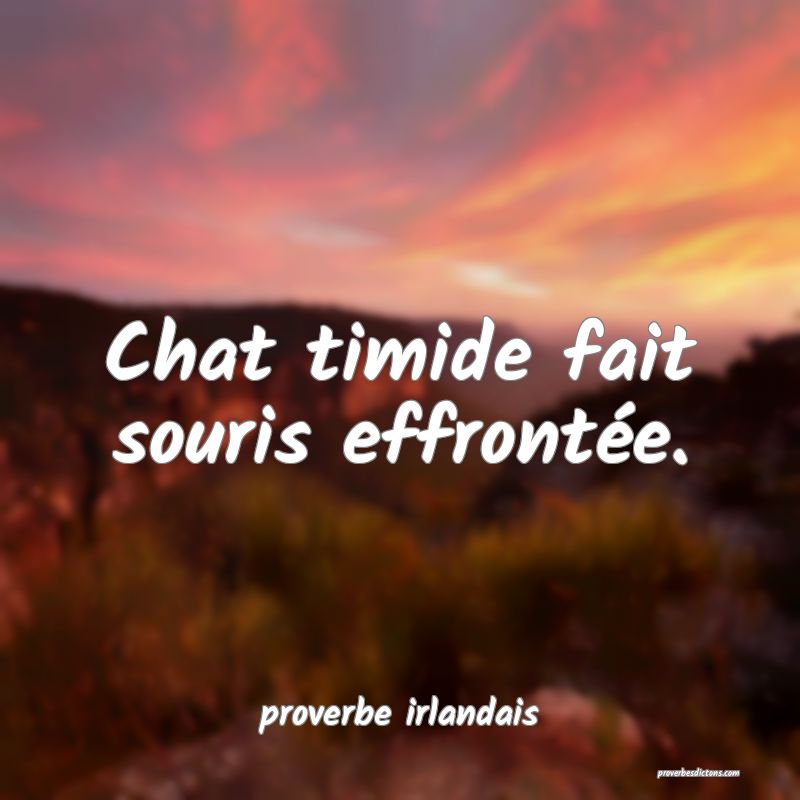 Chat timide fait souris effrontée.
