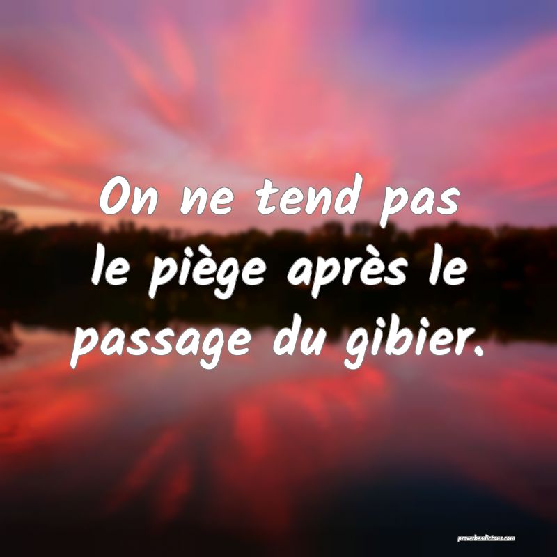On ne tend pas le piège après le passage du gibier.