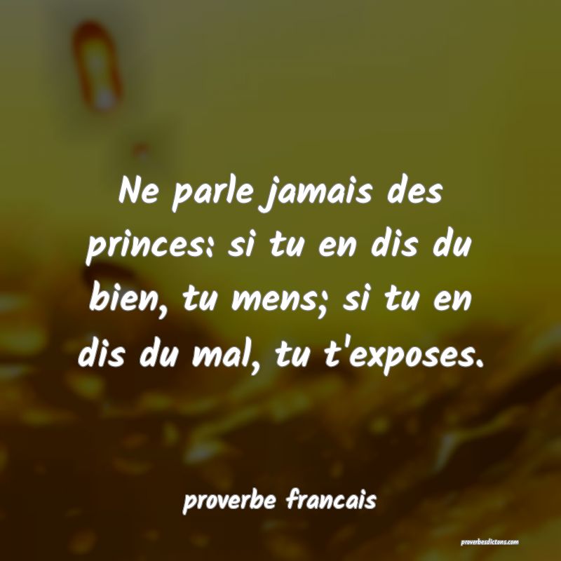 Ne parle jamais des princes: si tu en dis du bien, tu mens; si tu en dis du mal, tu t'exposes.